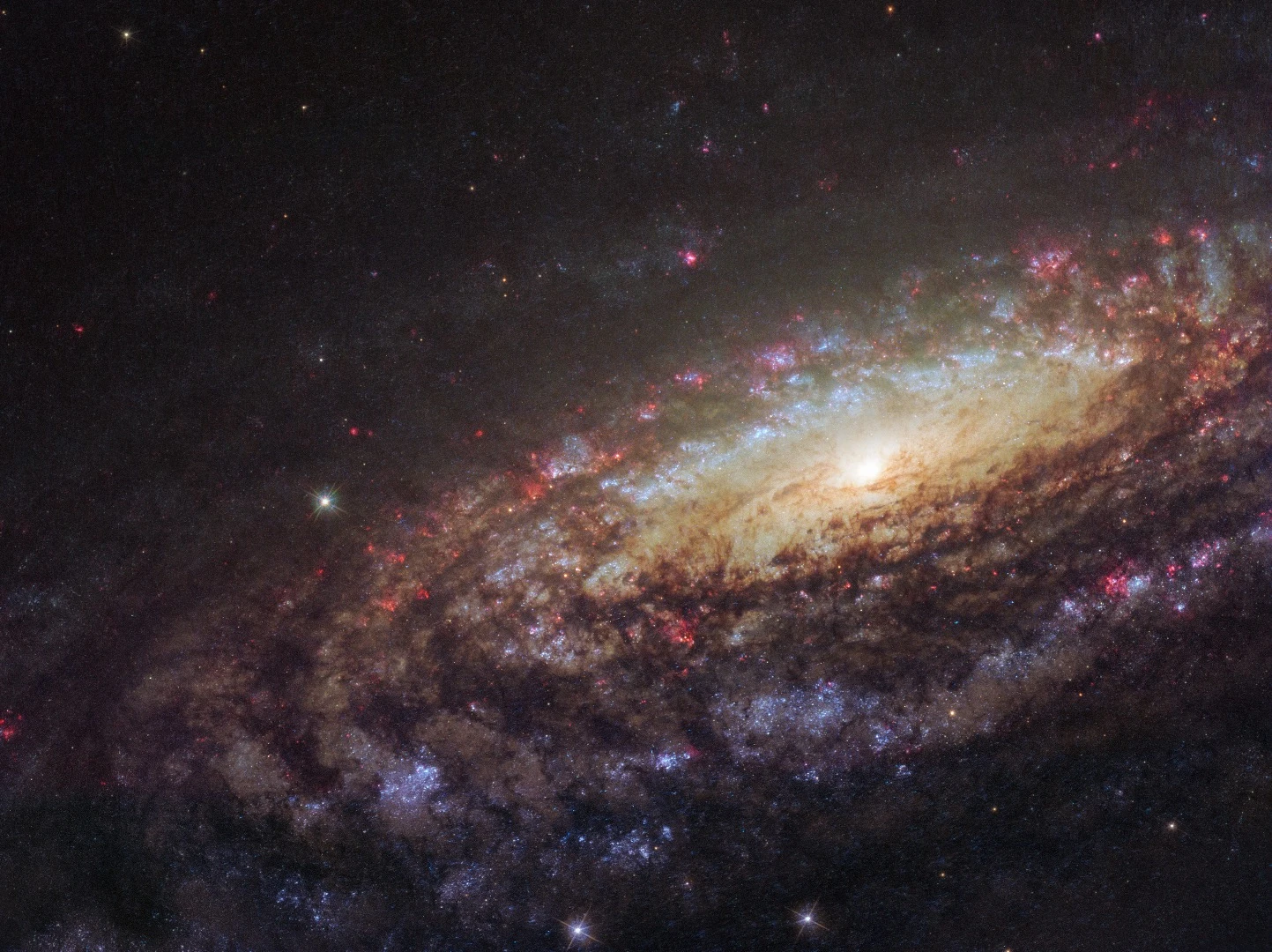 This NASA/ESA Hubble Space Telescope image shows a spiral galaxy known as NGC 7331. First spotted by the prolific galaxy hunter William Herschel in 1784, NGC 7331 is located about 45 million light-years away in the constellation of Pegasus (The Winged Horse).
