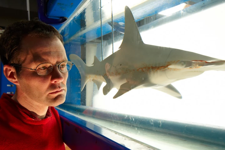 Dr. Jonathan Cox with the model hammerhead shark
