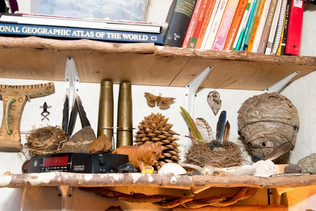 Though only small, the home has plenty of storage space (Photo: Scott Brooks/Brendan McGarry Photography)