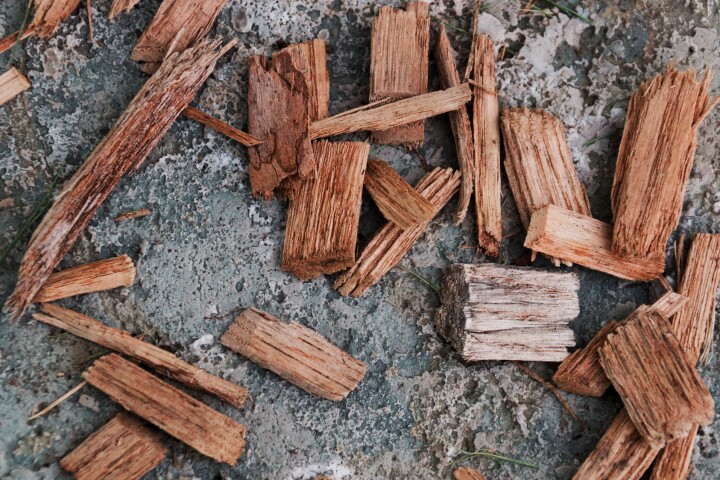 Crushing cedar chips created a less efficient biofuel than crushing planks, due to the internal structures of the materials
