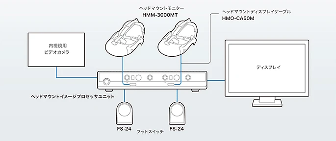 Sony's head-mount image processing unit