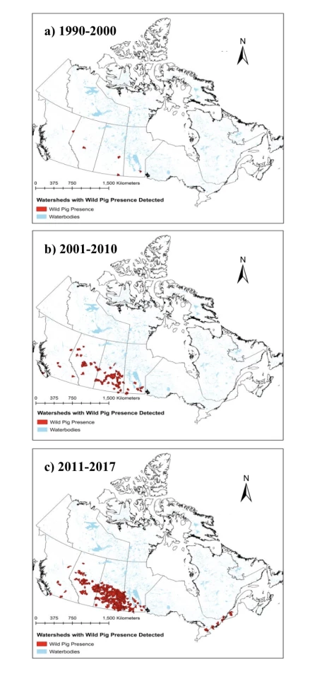 Ruth A Aschim's earlier study tracked the massive change in population and movement through Canada over the years