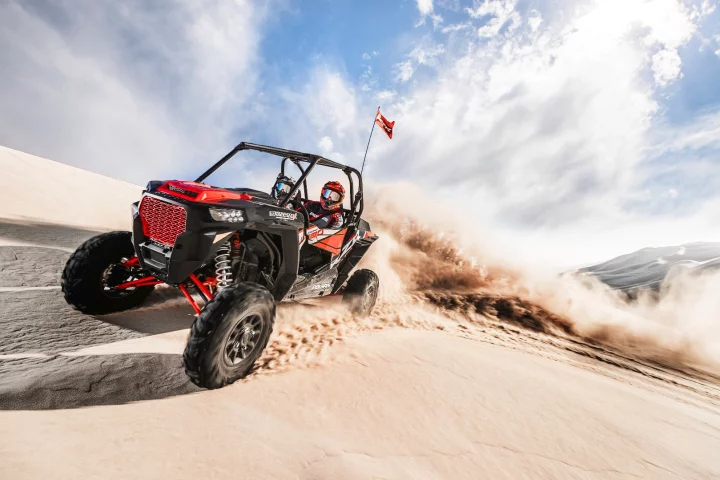 In the dunes