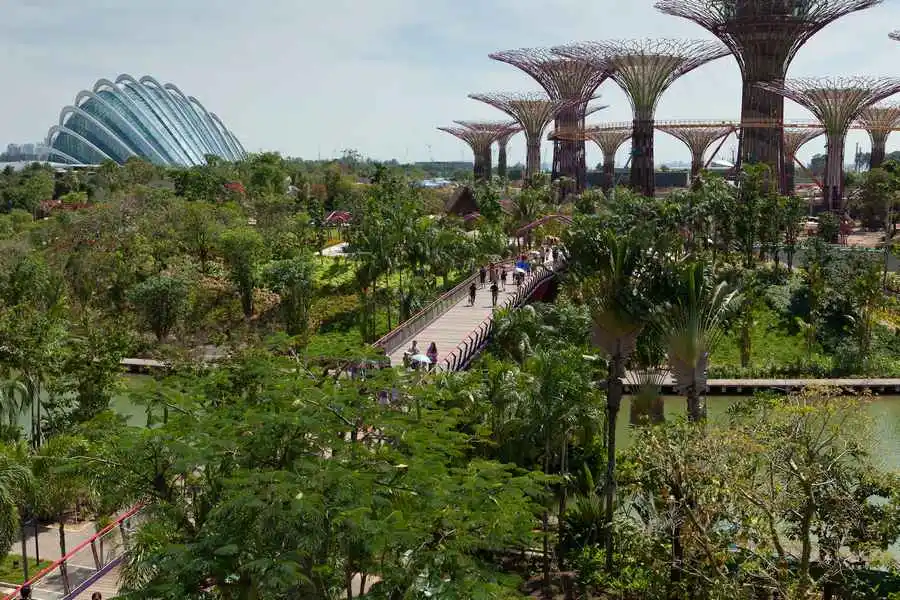 Magic Trees in the Gardens by the Bay, Singapore