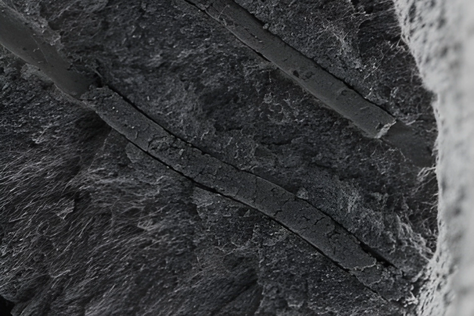 Kredit: Shanmukh Peddi, Debayan Dasgupta.