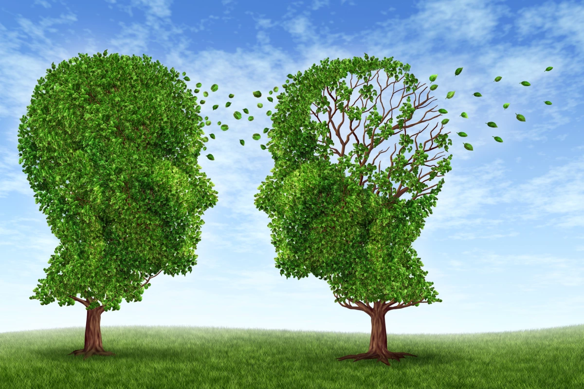 Ten risk factors, including head trauma, obesity in latelife, and diabetes, have been identified as the strongest risk factors for Alzheimer's in a new study