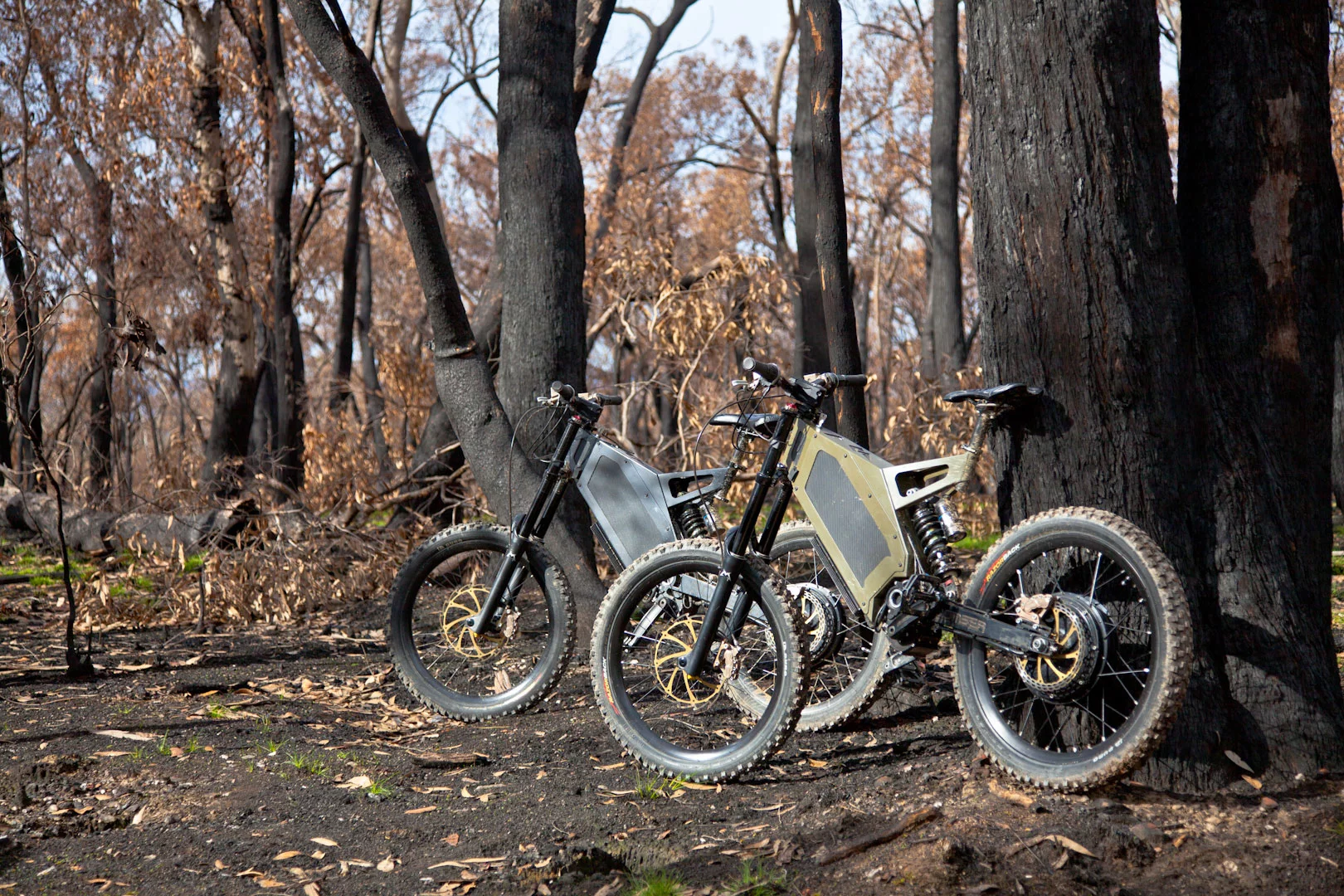 Stealth Bomber: looks pretty mean and rides even meaner