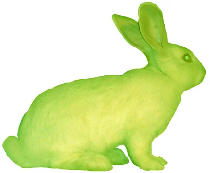 Eduardo Kac's controversial green glowing bunny
