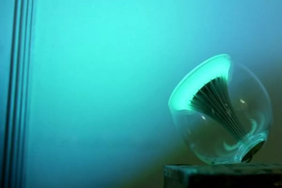 Philips LivingColors lamp helps you create the right atmosphere for any occasion