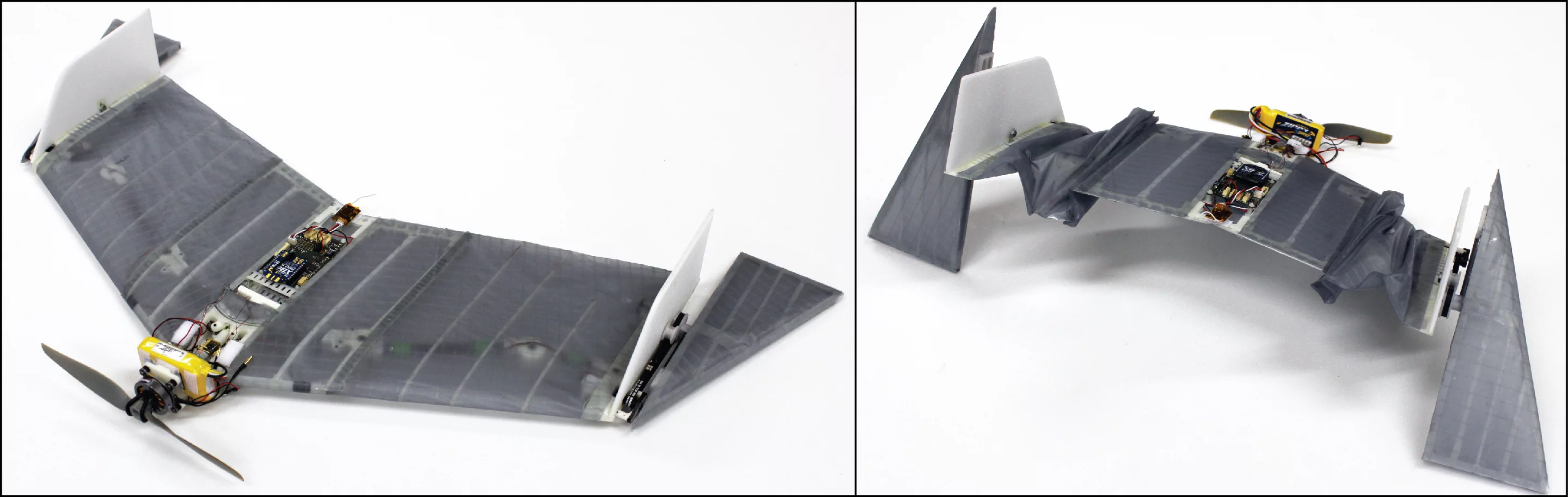 The DALER drone was actually inspired by the vampire bat that uses the tips of its wings like legs when moving around on the ground