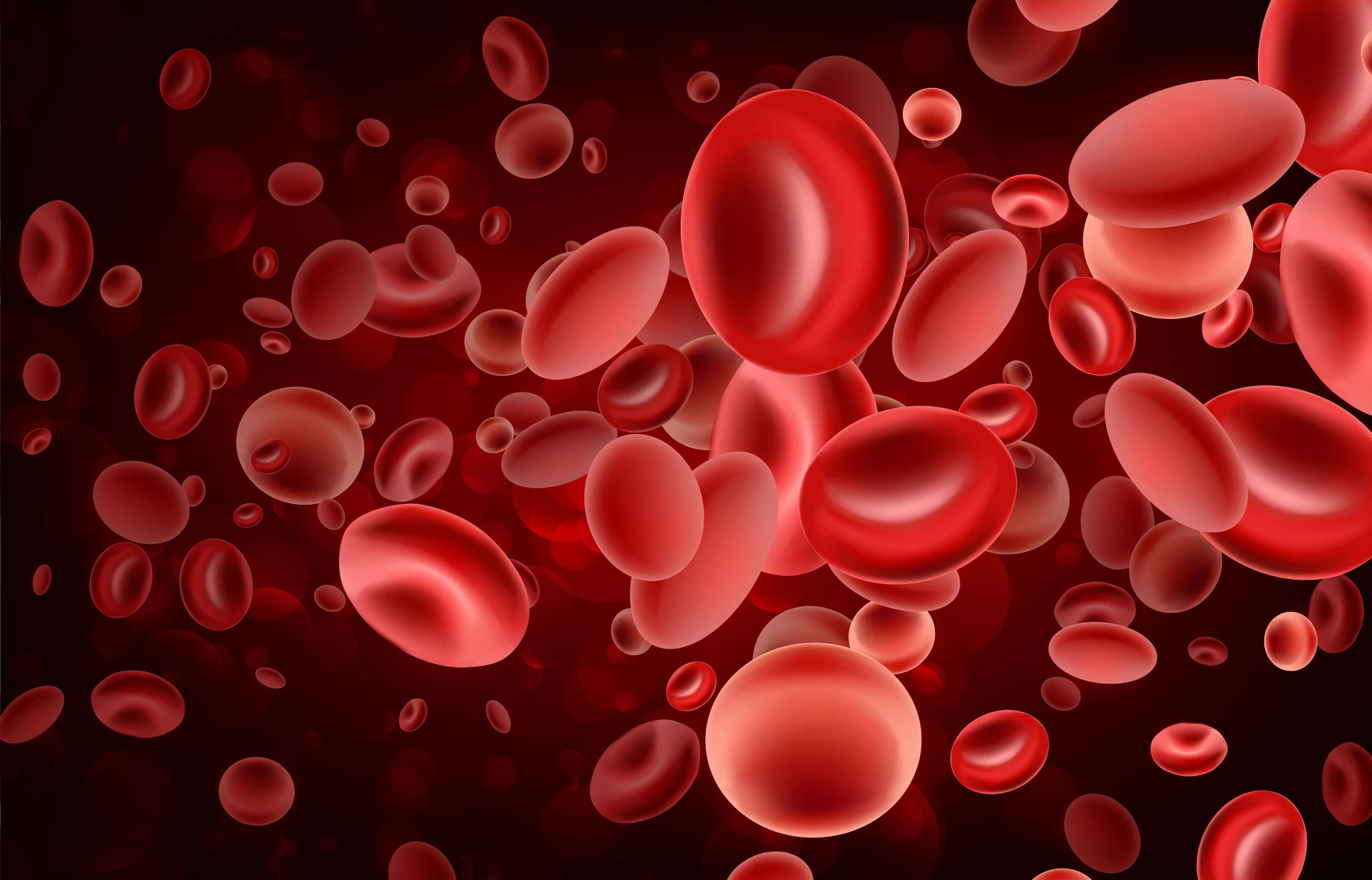 Researchers have developed a technique that allows red blood cells to be filled with drug molecules and then returned to a body to home in on a specific location