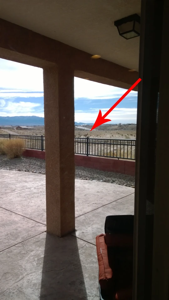 ... some perspective on just how much we cropped this shot to frame the roadrunner