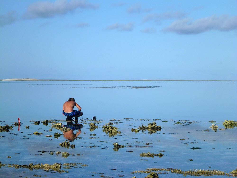 Kennedy Wolfe collecting water samples on the experimental reef flat