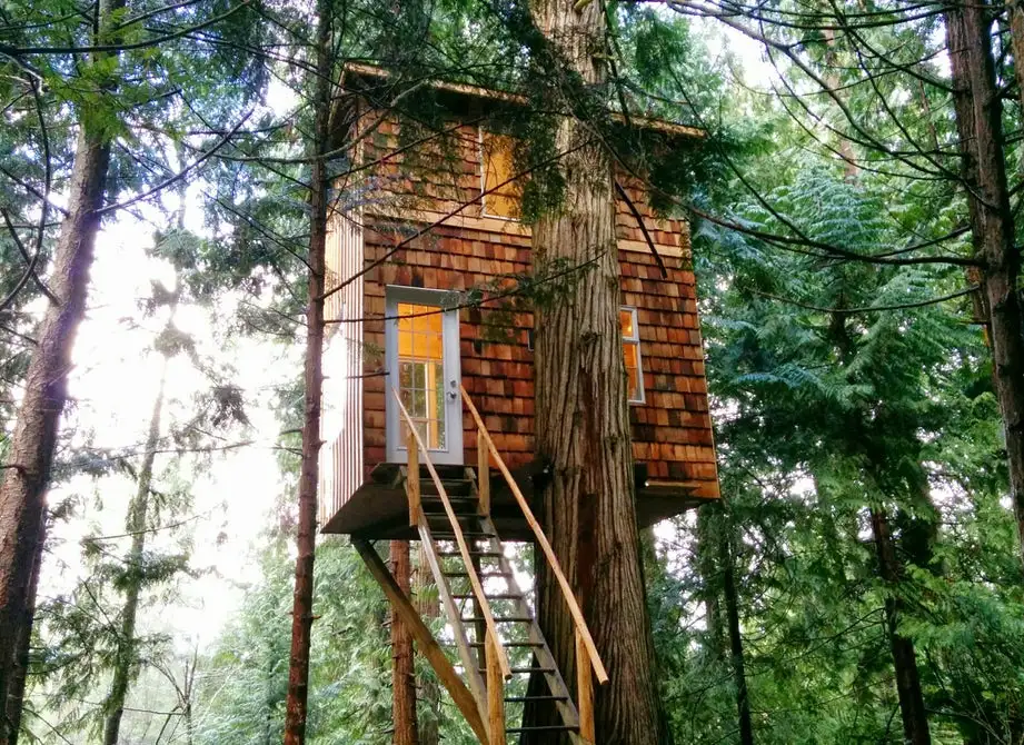 The Raven Loft is perched some 5.1 m (17 ft) off the ground in British Columbia