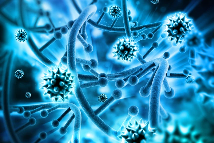 Using a novel combination of a new drug therapy and the CRISPR gene editing tool, scientists have eliminated HIV from the genomes of living animals for the first time