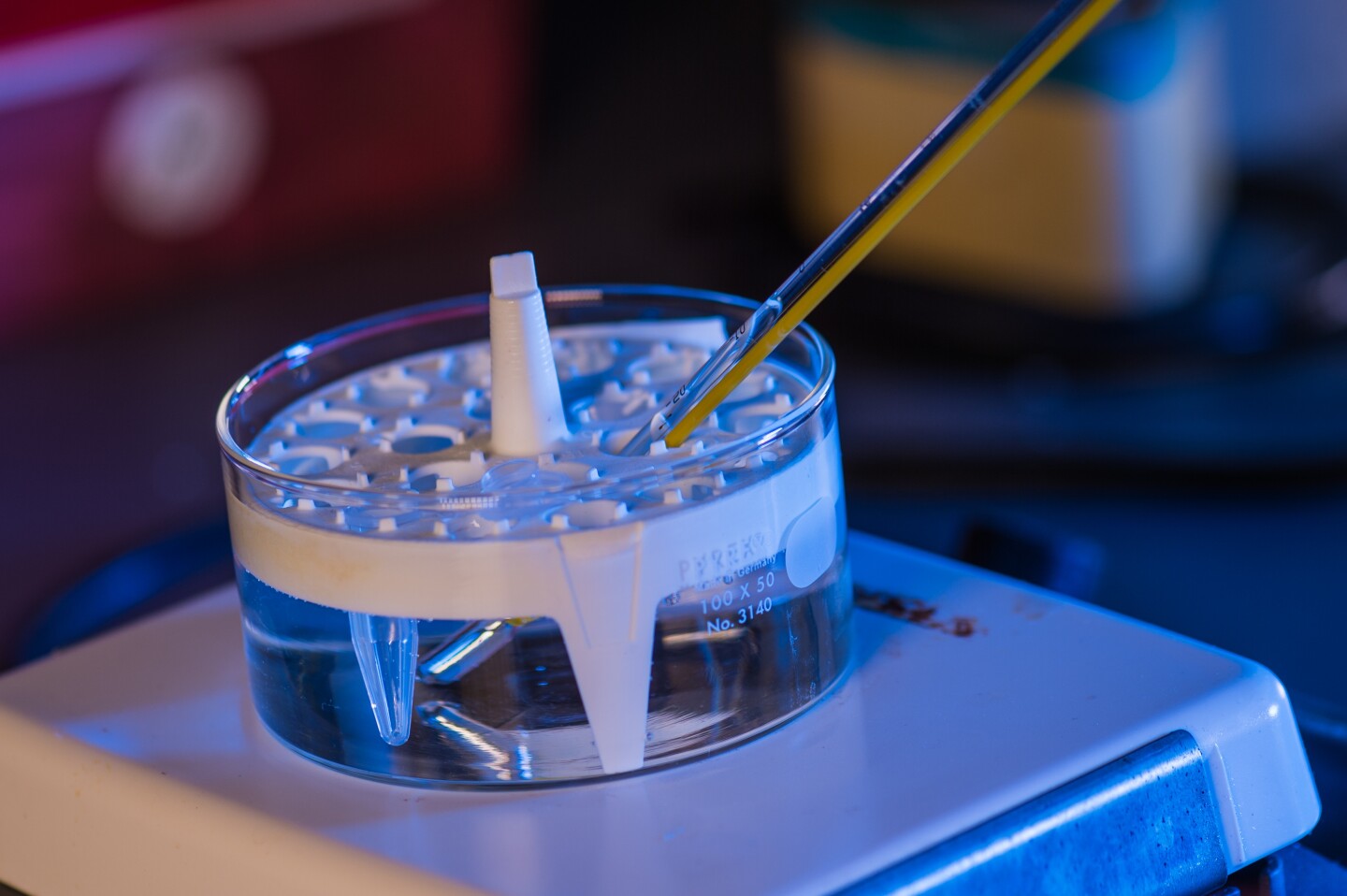 The scientists added chemical cross-linkers to the gel, to keep it from shrinking as it solidifies