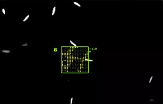 A physicist has created "biotic video games," in which players manipulate the behavior of actual microorganisms in real time