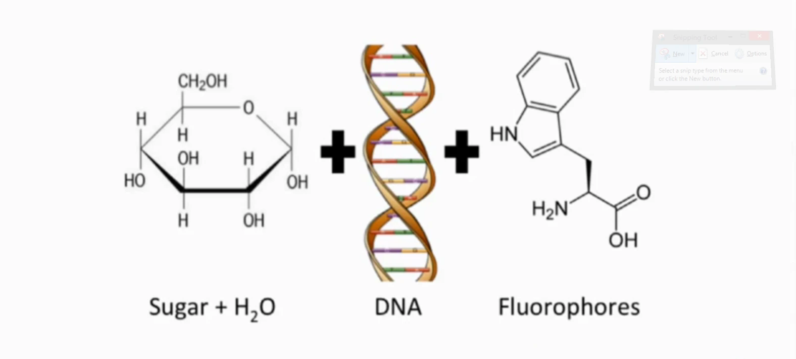 The components of DNATrax