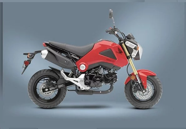 Honda Grom (Photo: Honda Powersports)