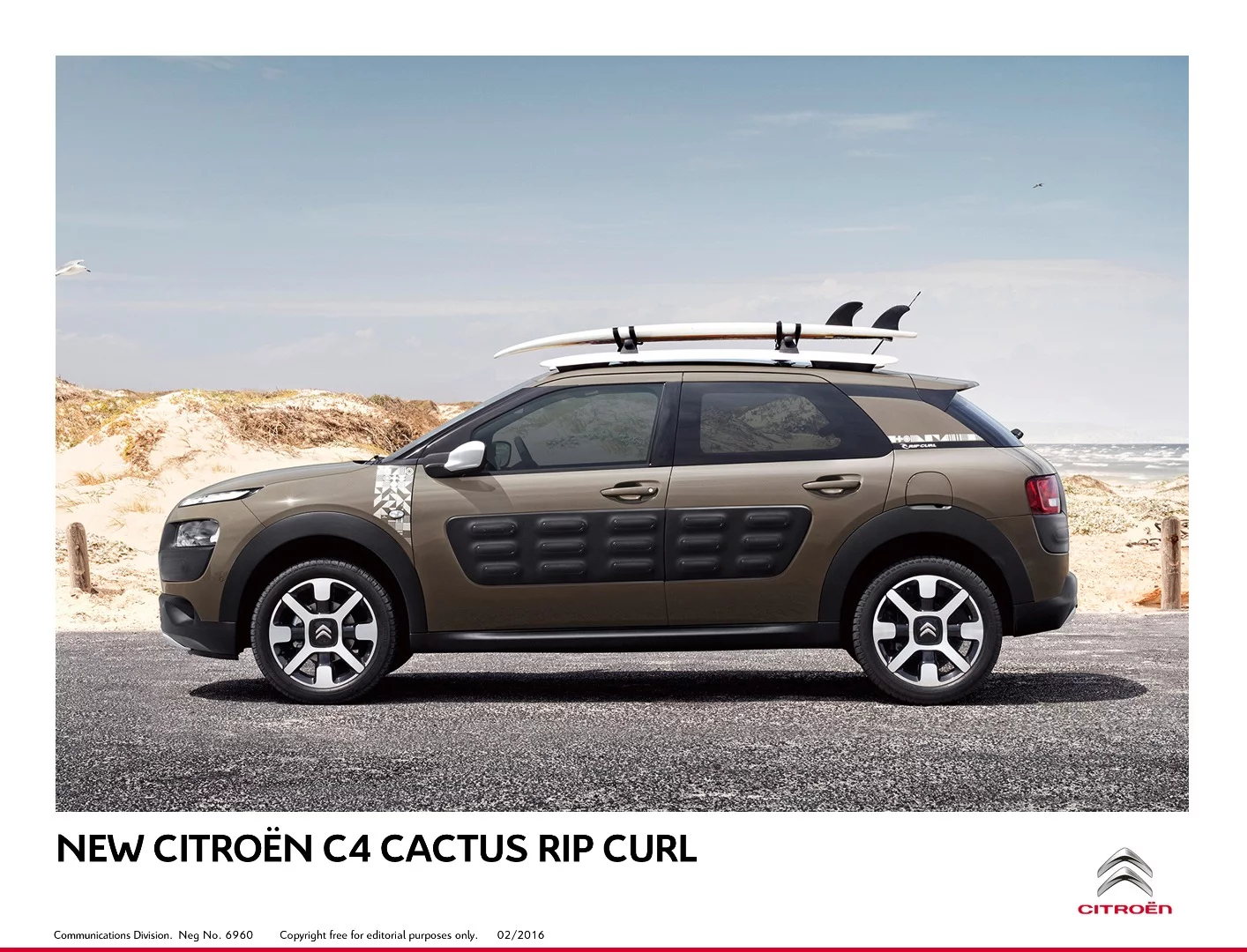 Citroën C4 Cactus Rip Curl