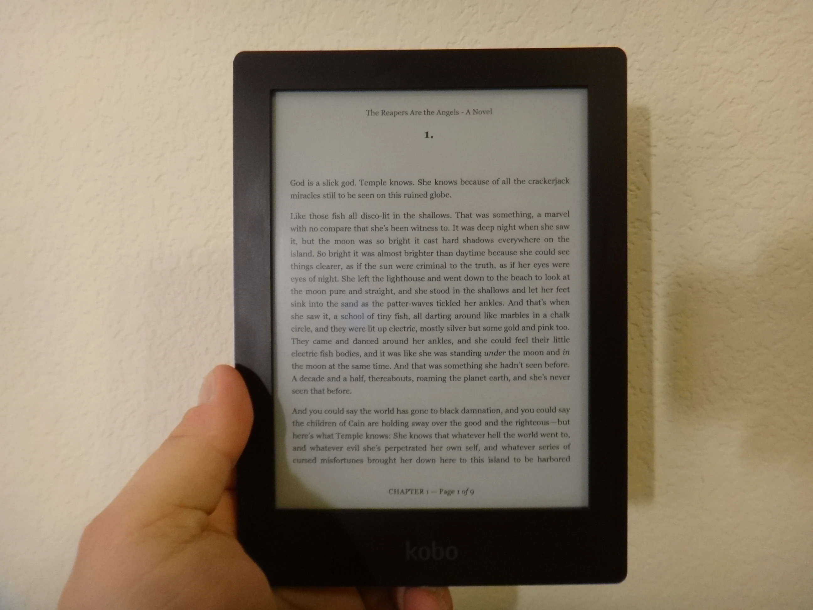 As you can imagine, the text the e-reader displays is just as sharp, if not sharper, than a high-quality paperback