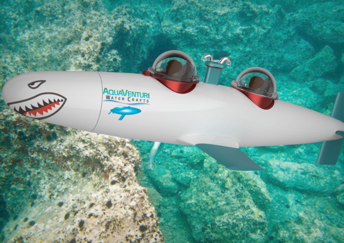 The SeaBird submersible