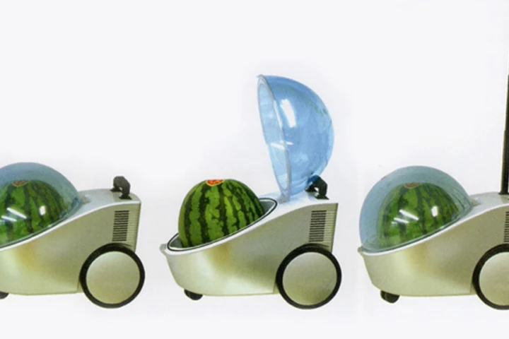 The Marugoto Tamachan portable watermelon cooler - and warmer