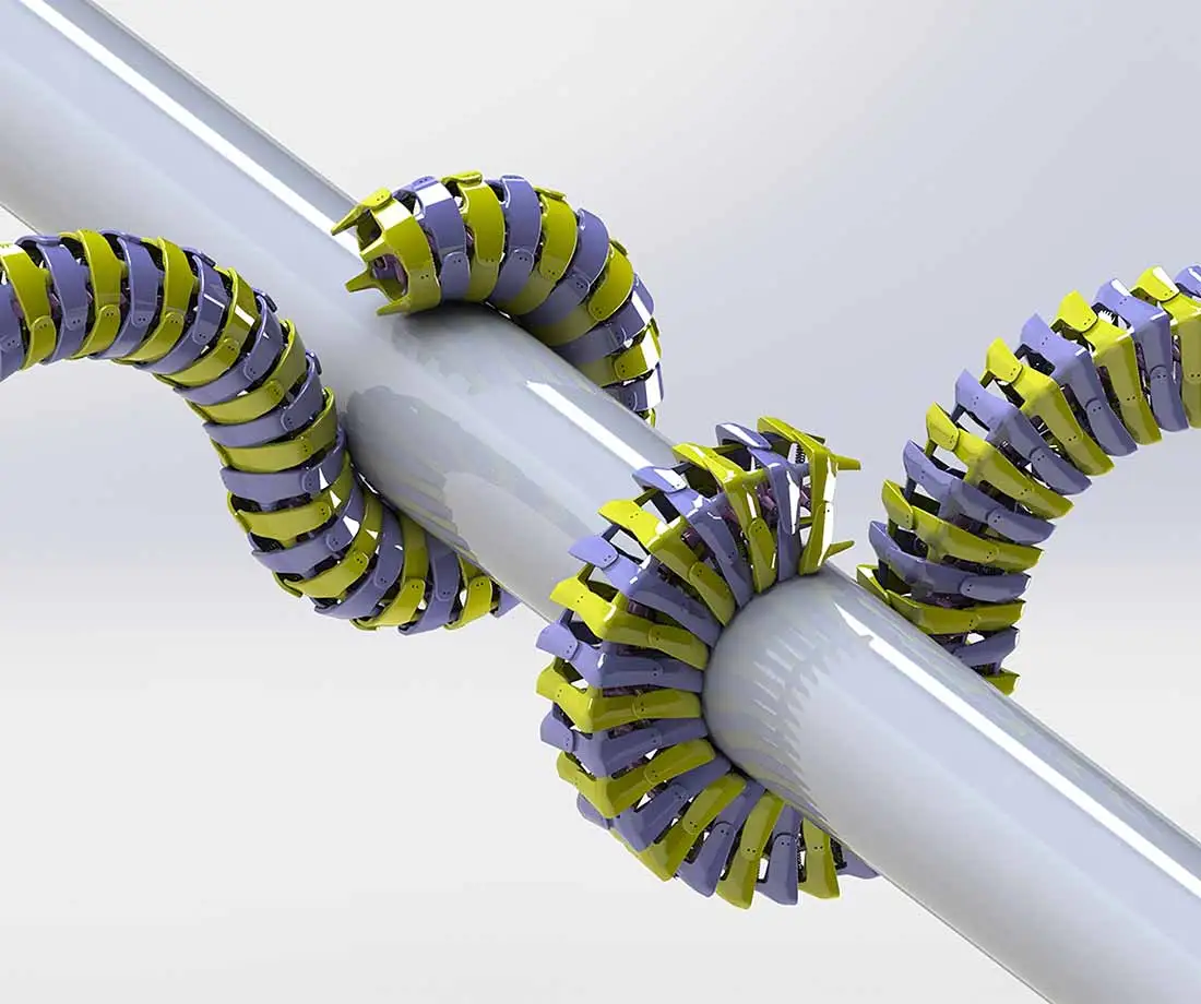 Seahorse-inspired models displayed superior grasping ability