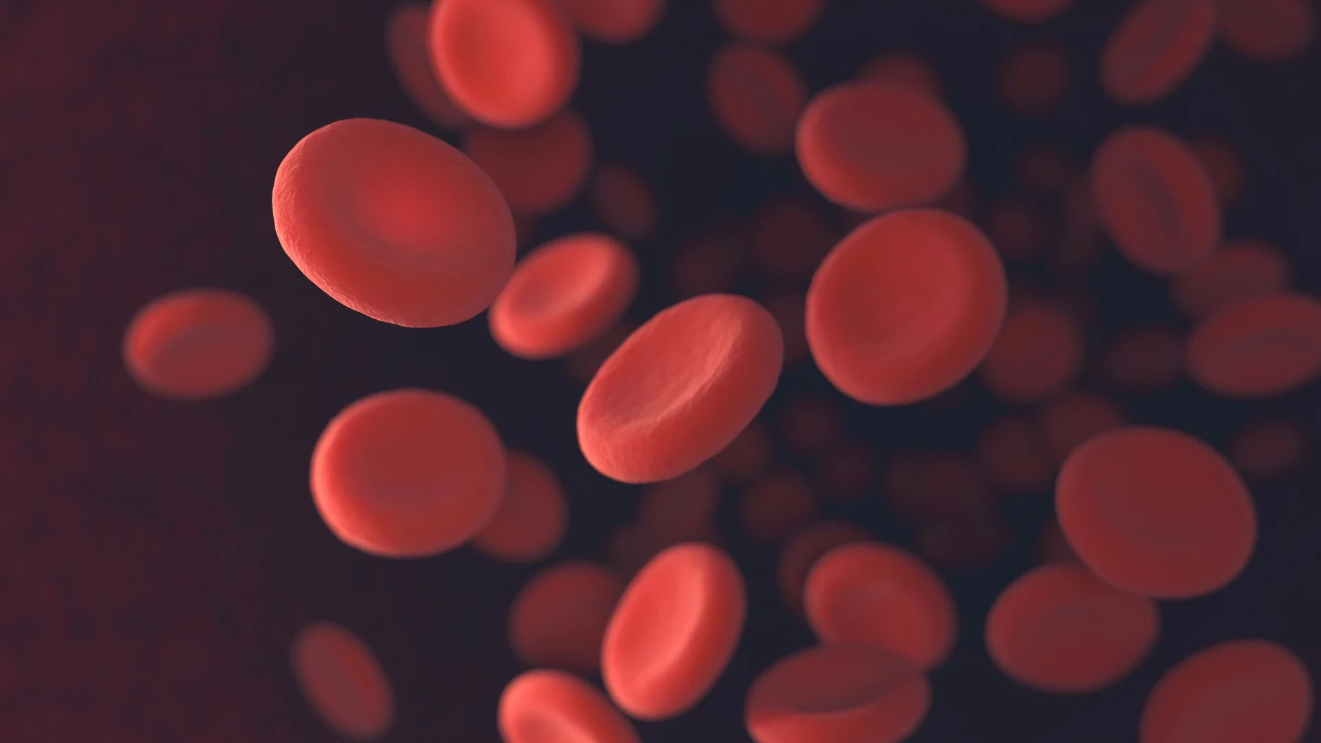 Blood-producing stem cells have been generated in a lab for the first time