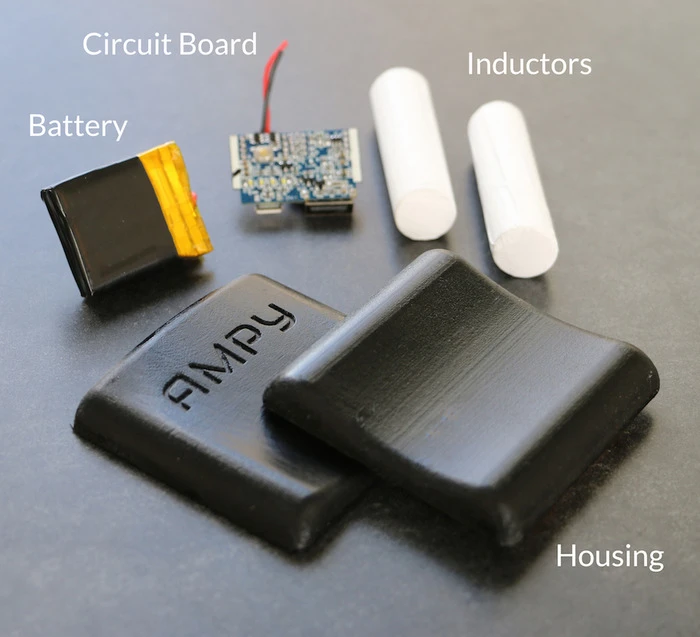 A look at Ampy's guts