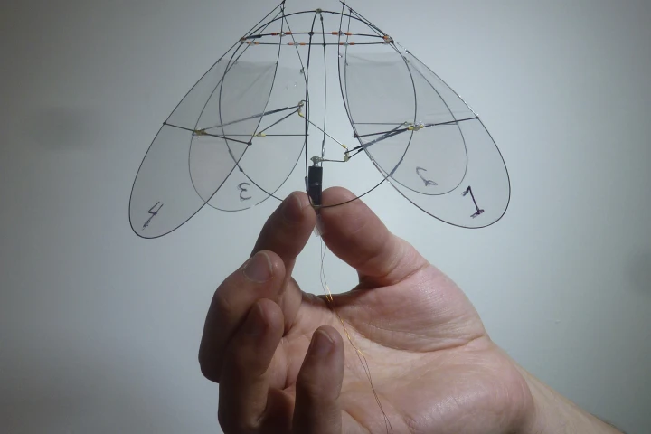 New York University's flying jellyfish (Photo: Leif Ristroph)