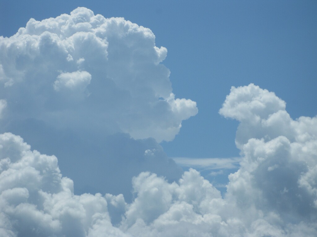This year's Process and Service Award had something of the cloud about it (Photo: Kate Ter Haar)