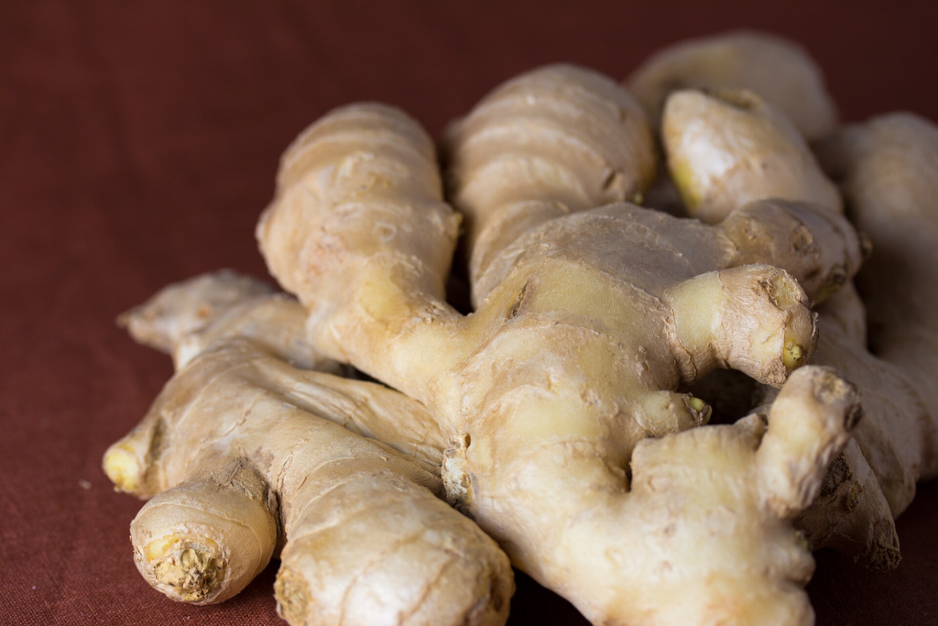 Gingerderived nanoparticles attack the roots of inflammatory bowel disease
