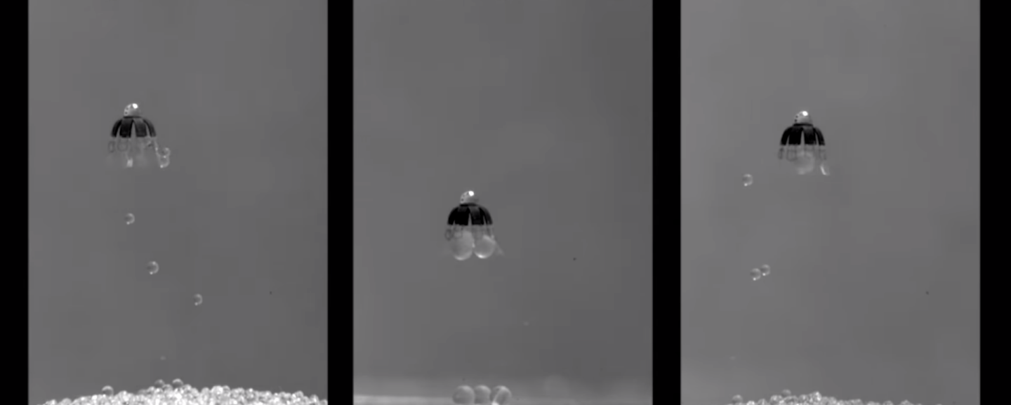 The jellyfishbot trials included selectively transporting various sized beads – only small beads (left), only right beads (center) and small and large beads together (right)