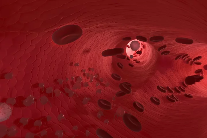 Researchers have found that a commercially available supplement can improve dilation of a subjects’ arteries by 42 percent in response to increased blood flow
