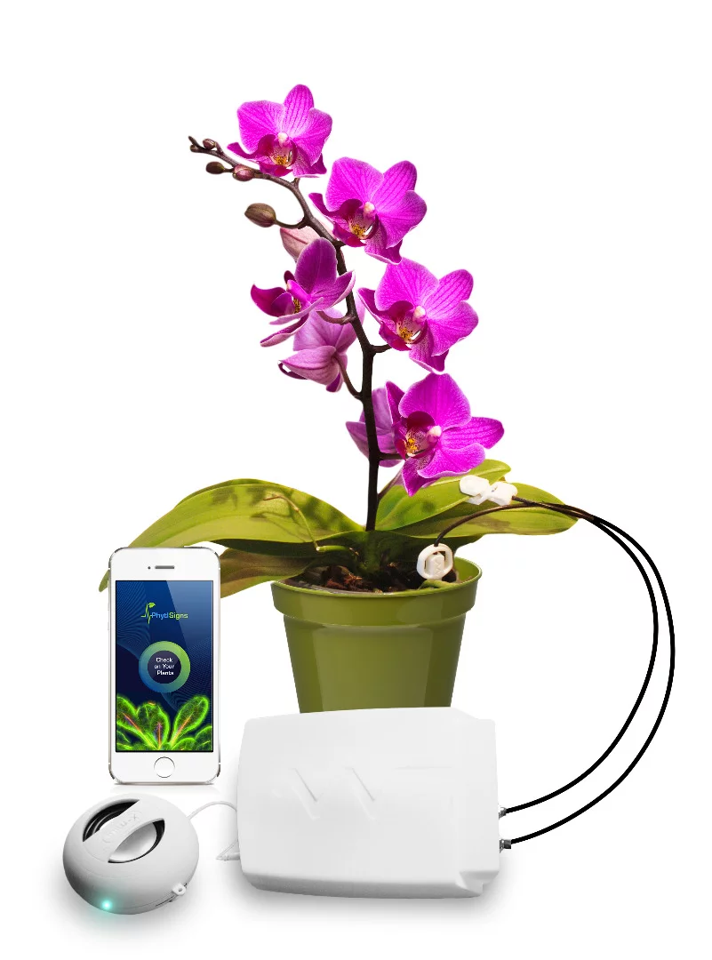The Phytl Signs device consists of two receptors, a signal processor, and a built-in speaker