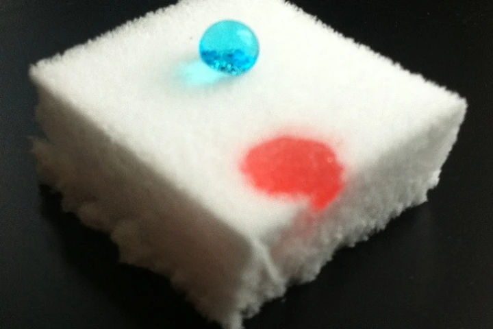 One of the modified nanocellulose sponges soaks up oil (red) while repelling water (blue)