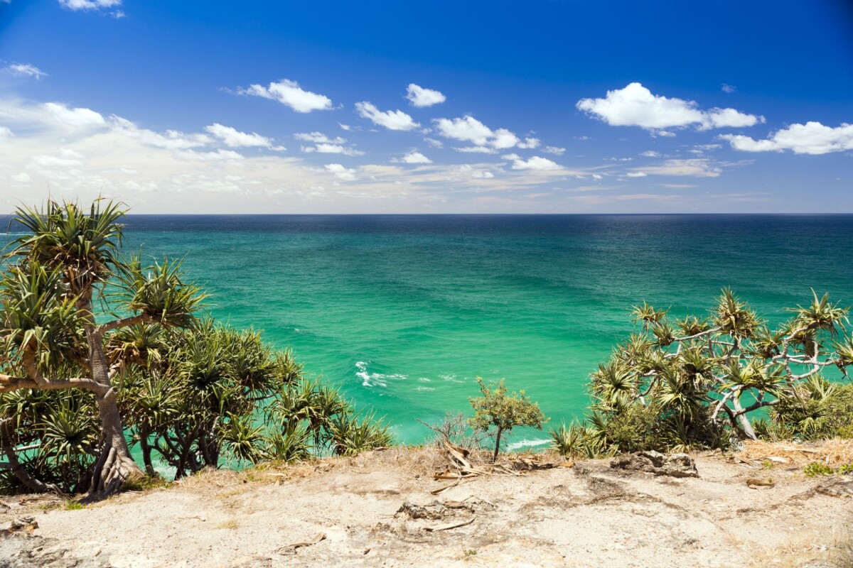 North Stradbroke is a whale-watcher's dream