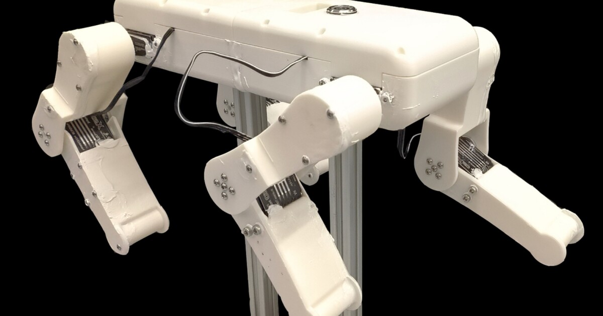 Amphibious robot dog excels in swimming with bioinspired paddling Amphibious robot dog excels in swimming with bioinspired paddling