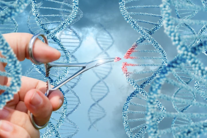 A study is raising new doubts over the accuracy of the CRISPR-Car9 gene editing technique