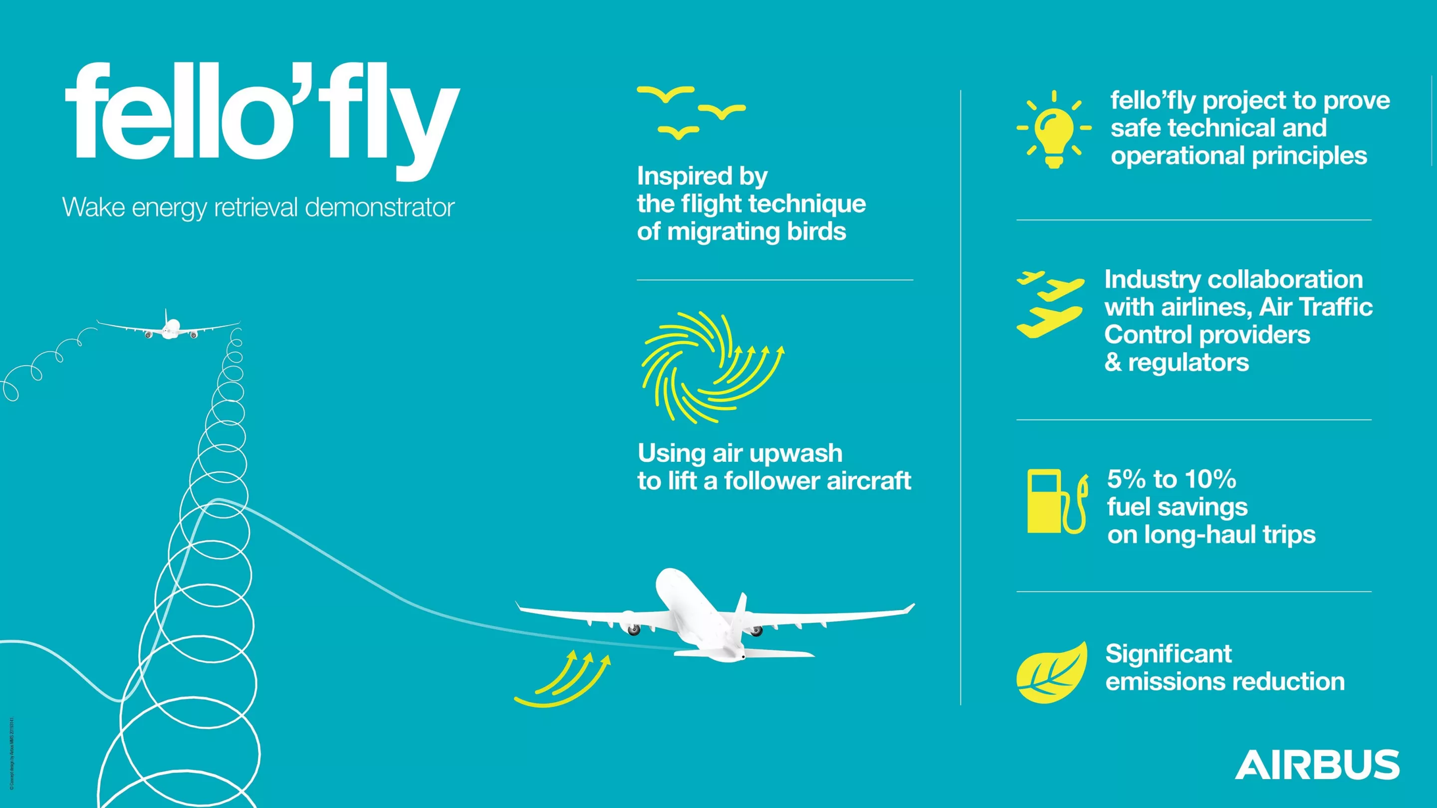 Fello'fly infographic