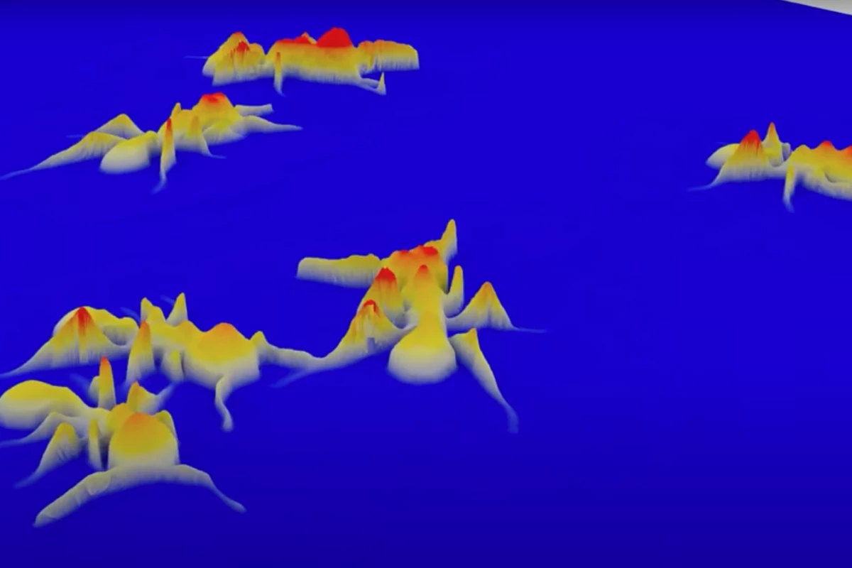 3D images of ants moving around, captured by the new gigapixel MCAM