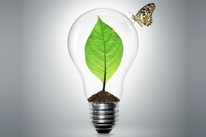 New technology out of the University of Georgia allows energy generated by plants through photosynthesis to be captured before the plants can make use of it (Image: Shutterstock)