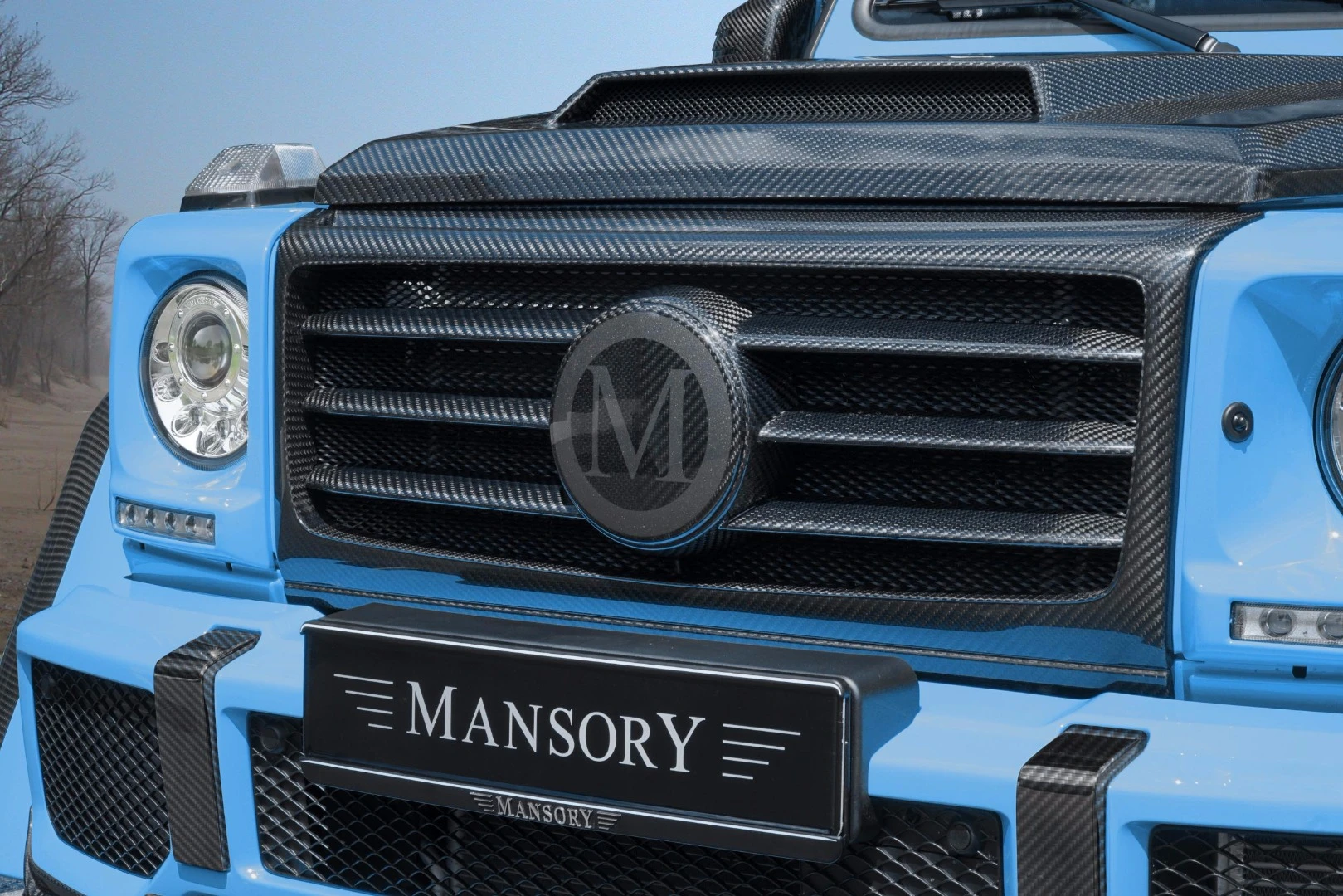 A very Mansory grille