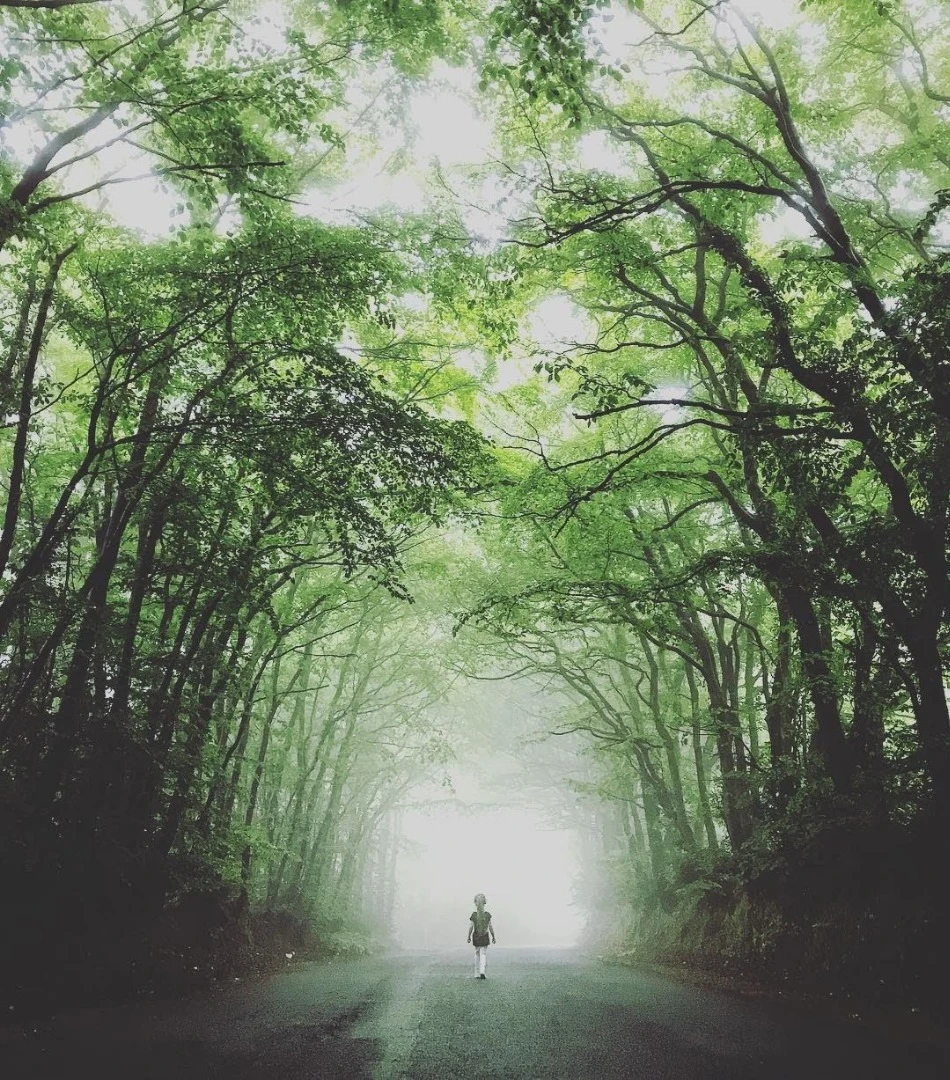 Shortlisted in the #NoFilter category is this shot from @thegoodly