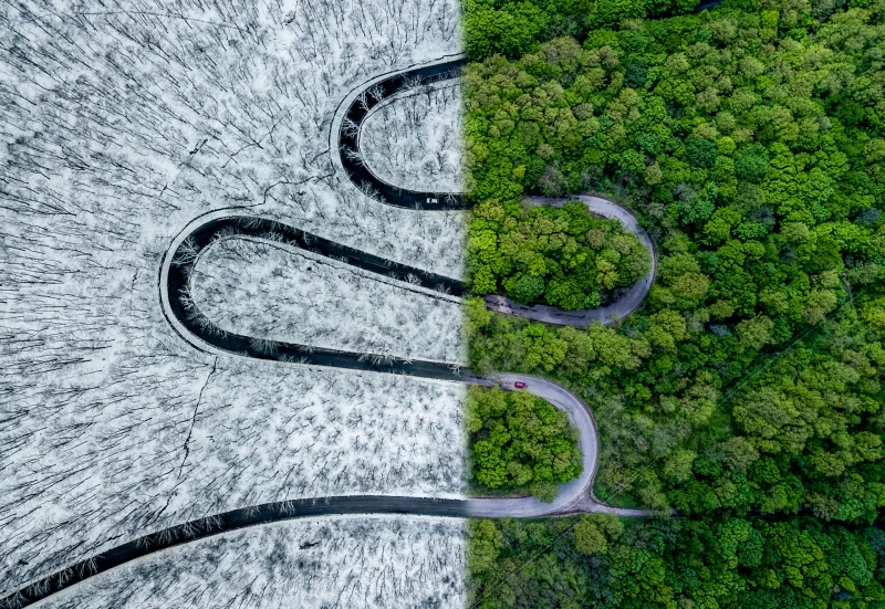 Weather Snake: Winner of the Abstract category