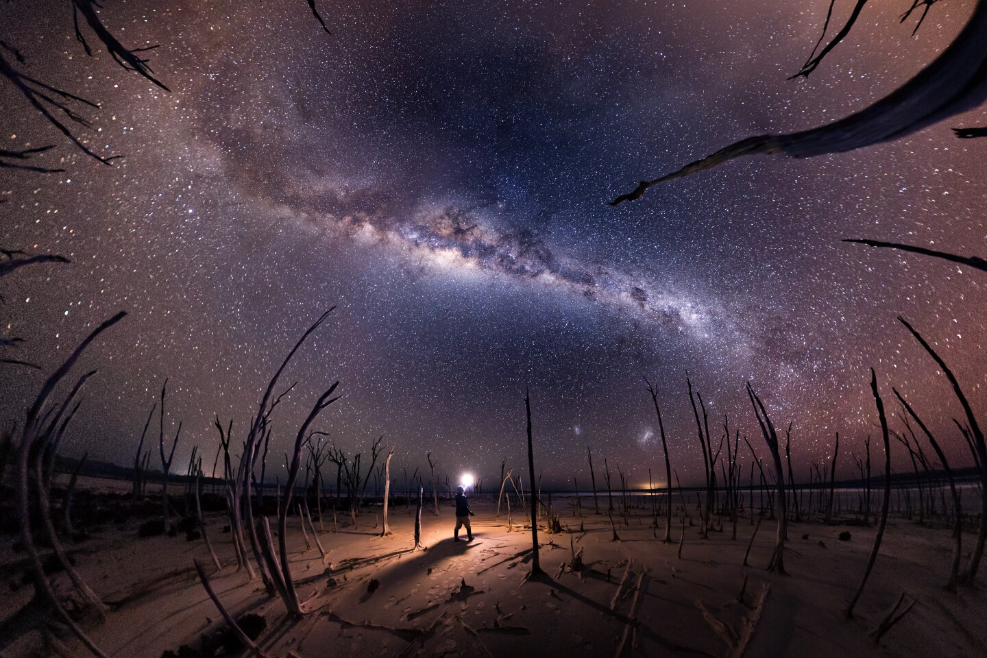 Nightmare, shot in Dumbleyung Lake, Australia. Dead trees reach up towards the Milky Way, surrounding a lone figure with a light.