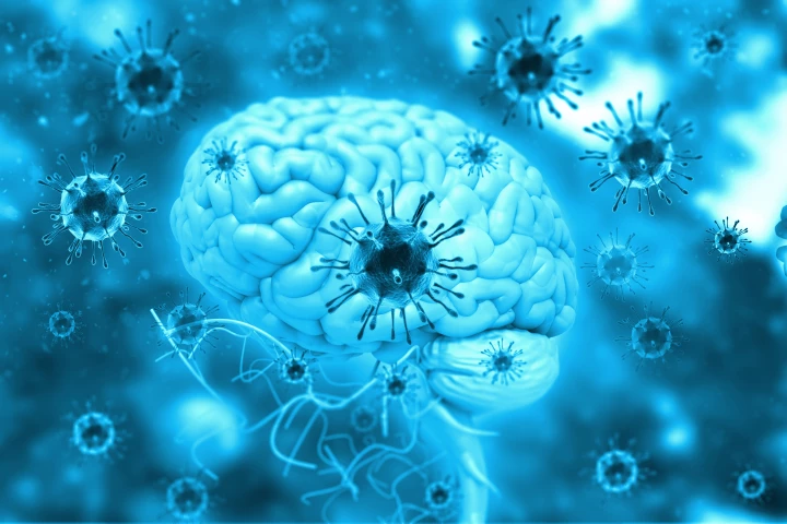 The findings indicate inflammatory signals to the brain, via the vagus nerve, are responsible for the neurological symptoms associated with COVID