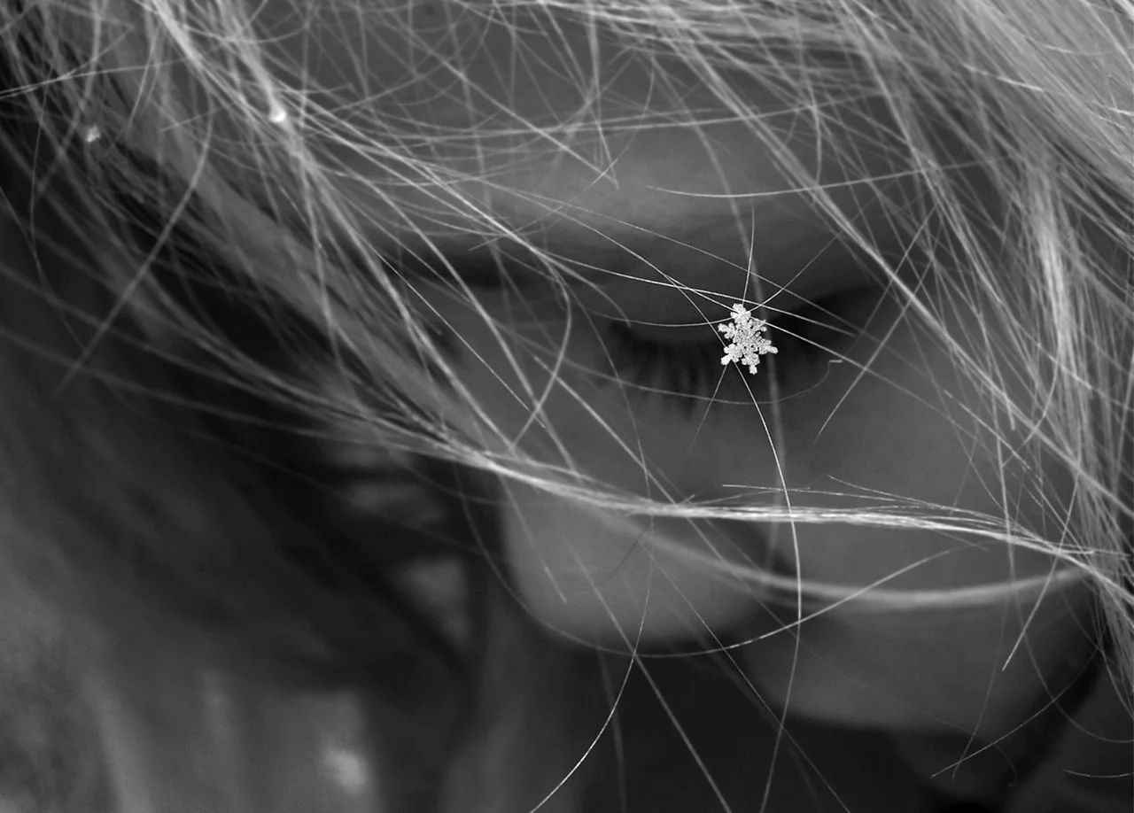 A judge's pick, Perfect Flake, a snowflake caught in a young girl's hair