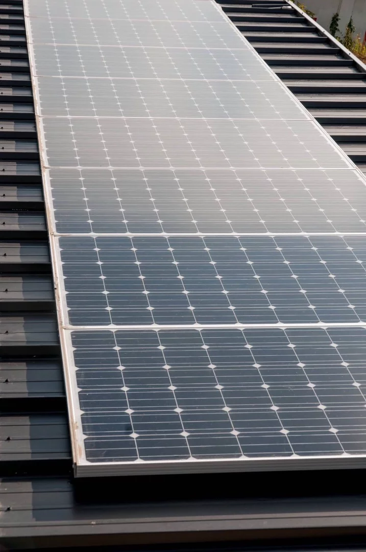 The Eucalyptus' roof-based solar panel array